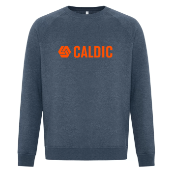 ESACTIVE PREMIUM RING SPUN CREW NECK SWEATSHIRT